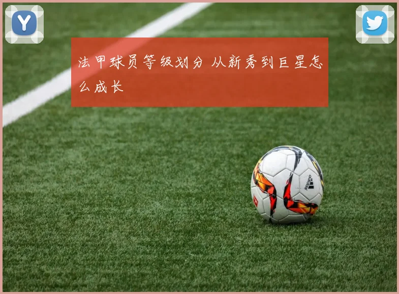 法甲球员等级划分 从新秀到巨星怎么成长