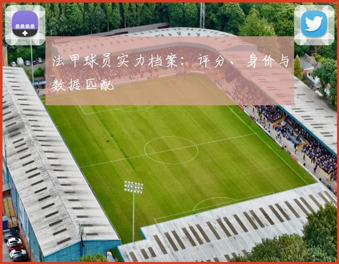法甲球员实力档案:评分、身价与数据匹配